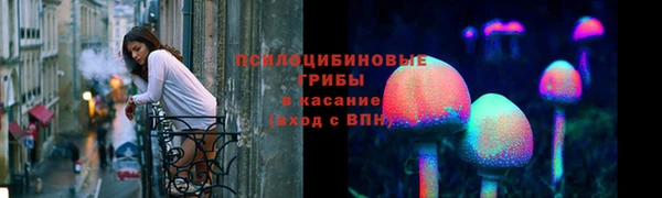 эйфоретик Беломорск