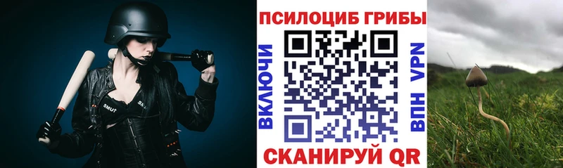 Псилоцибиновые грибы мухоморы  магазин    Вязники 